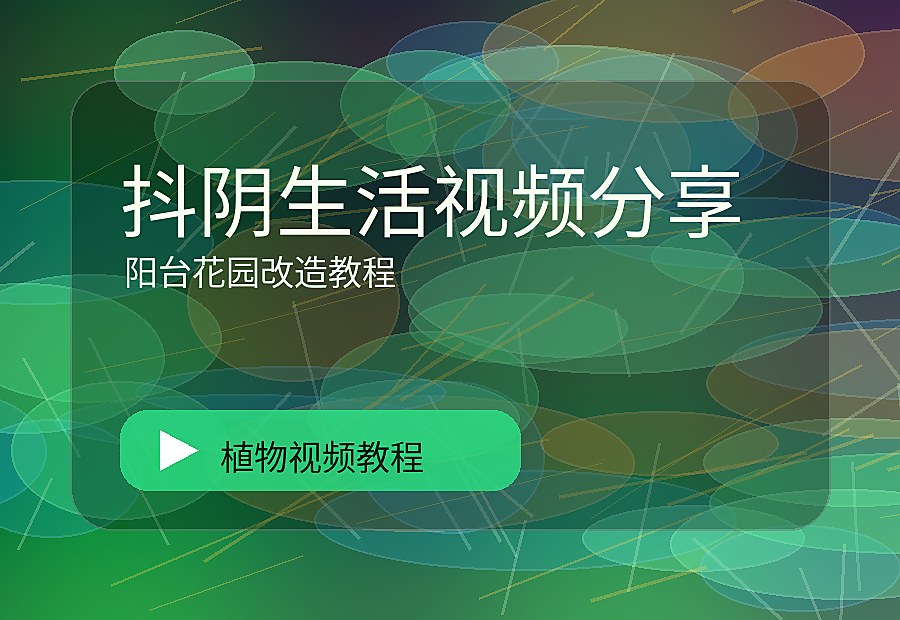 麻朵花园