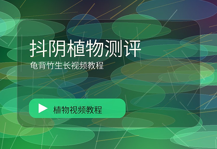 麻朵花园