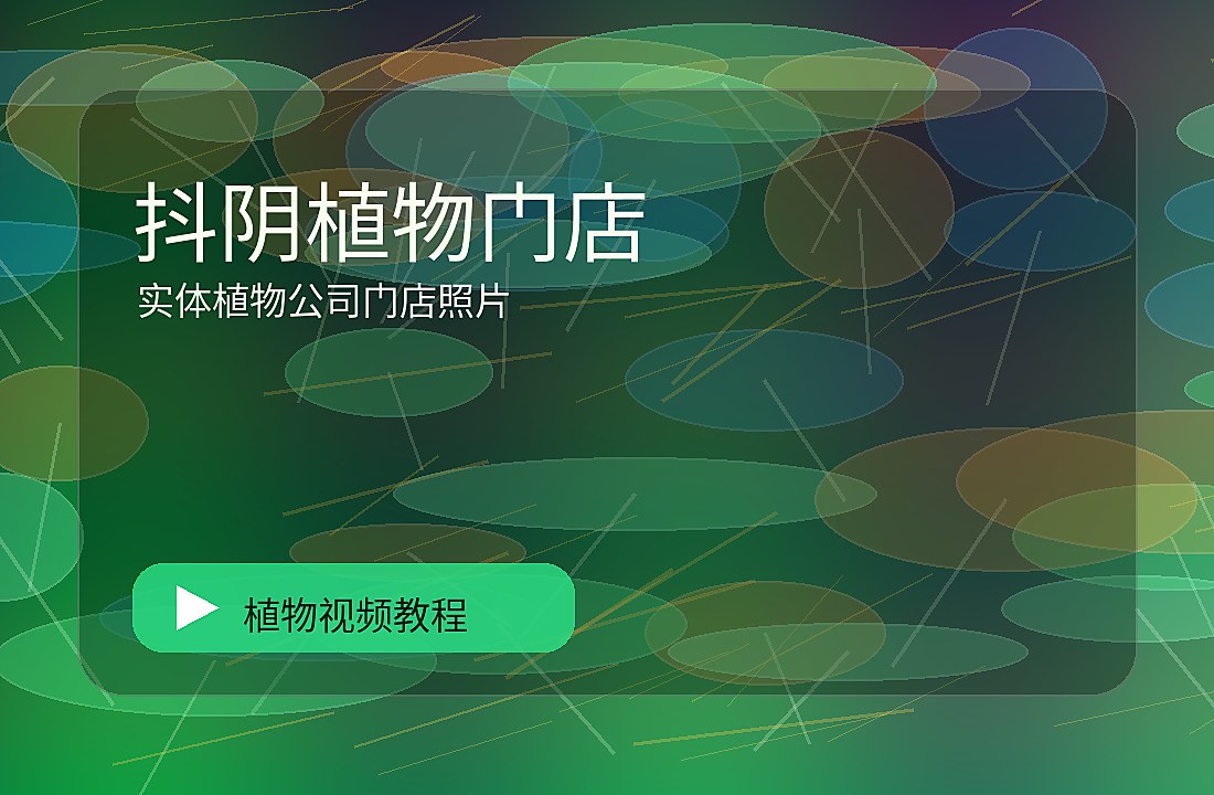 麻朵花园